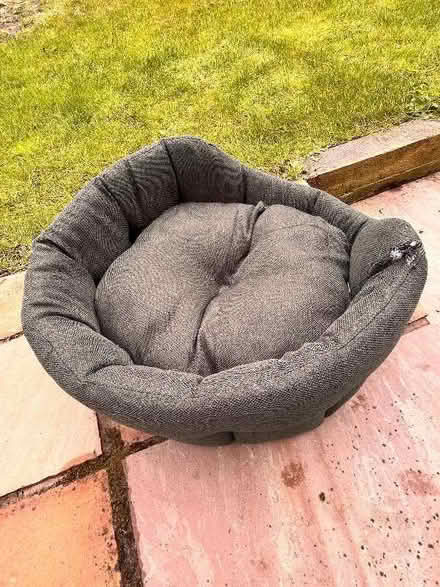 Photo of free Small dog bed. (Newcraighall EH21) #2