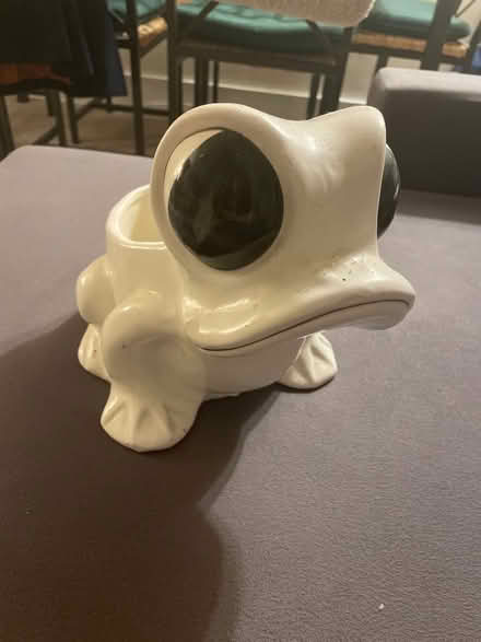 Photo of free Frog plant holder (Acton W3) #1
