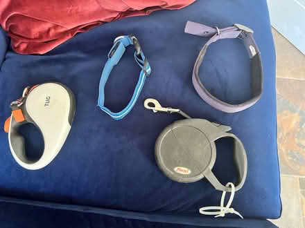 Photo of free 2 x extendable dog leads + collars (High fields Tetbury) #1
