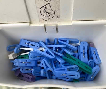 Photo of free Plastic Clothes Pins (Somerset/Bayswater) #1