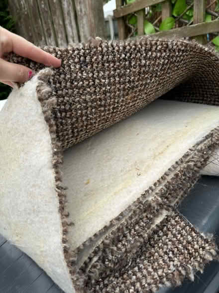 Photo of free Carpet (S8) #1