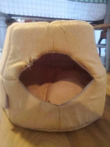 Photo of free Cat tent (Knowle BS4) #2