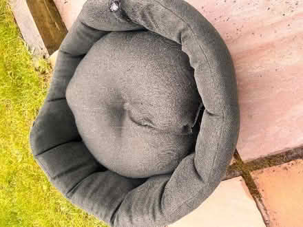 Photo of free Small dog bed. (Newcraighall EH21) #3