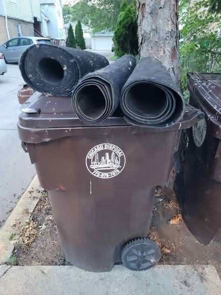 Photo of free All weather Carpets (Jeff Park 60630) #2
