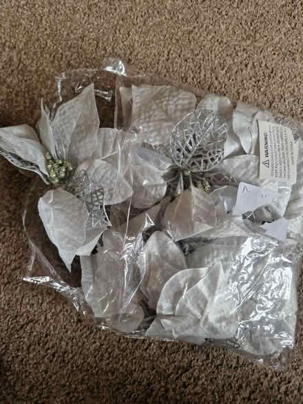 Photo of free Decorative poinsettias silver (Edinburgh EH12) #1