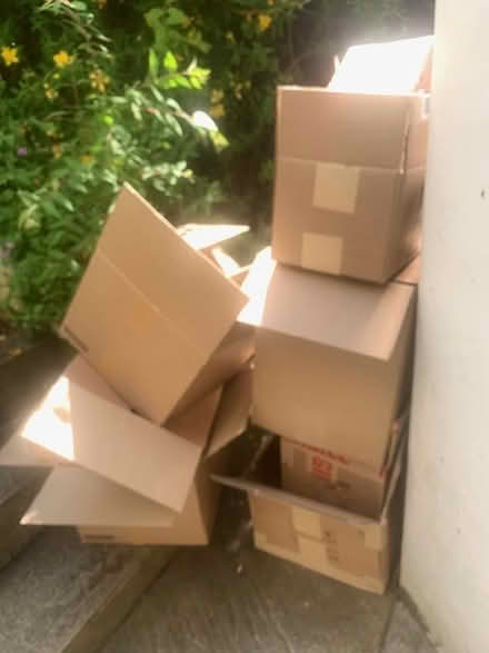 Photo of free Selection of cardboard boxes (London NW3) #1