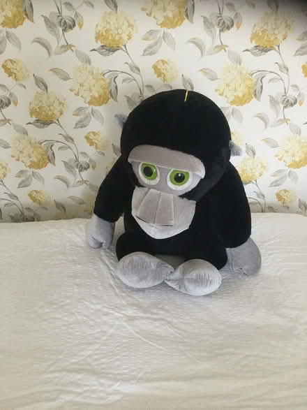 Photo of free Large soft gorilla (Wrecclesham) #1