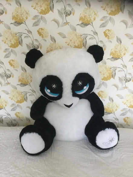Photo of free Large panda toy (Wrecclesham) #1
