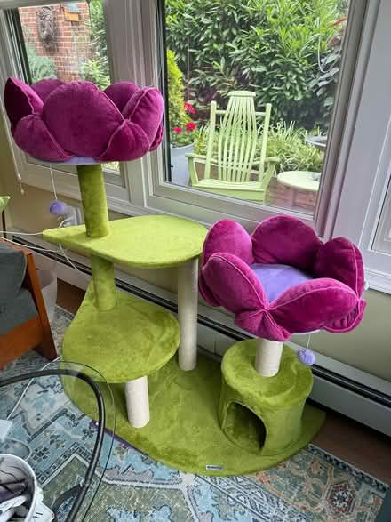 Photo of free Cat tree (reposting) (North Old Town Alexandria) #2