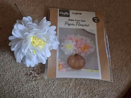 Photo of free Make your own Paper Flowers (Locks Heath SO31) #1