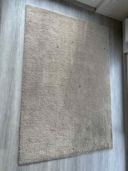 Photo of free IKEA rug 195cm x 135cm (Highett) #1