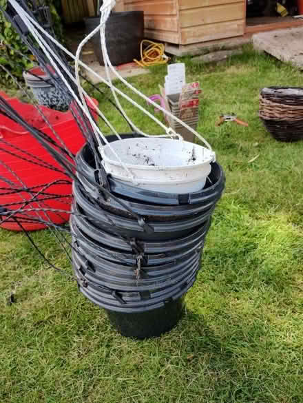 Photo of free Hanging baskets. (White Moss ST7) #1