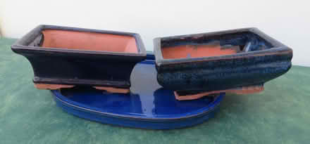 Photo of free 2 bonsai tree pots & matching dish blue (GU16) #2