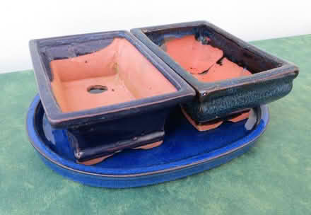 Photo of free 2 bonsai tree pots & matching dish blue (GU16) #4