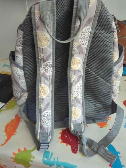 Photo of free Nappy bag (Booker Common, HP12) #2