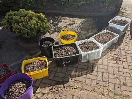 Photo of free Gravel (Cullercoats NE30) #1