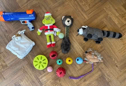 Photo of free small dog toys (Furzedown Tooting) #1