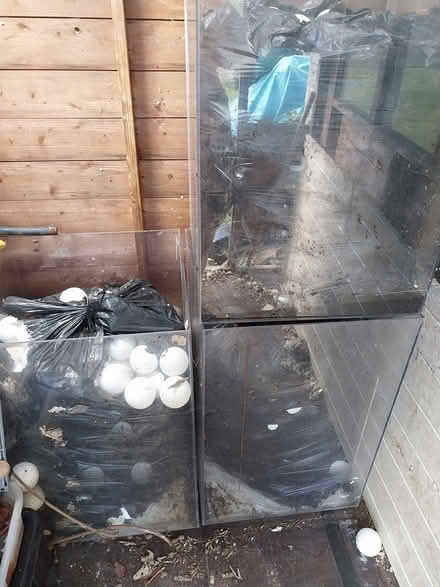 Photo of free 3 large clear perspex boxes (Tudeley) #1
