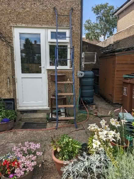 Photo of free Step Ladder (Welling DA16) #2