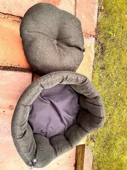 Photo of free Small dog bed. (Newcraighall EH21) #1