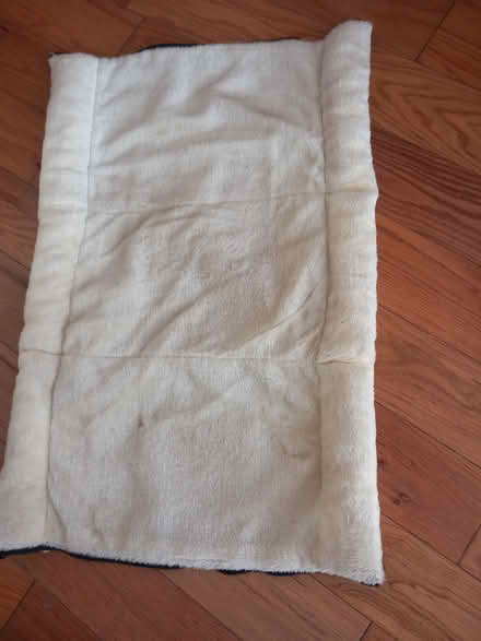 Photo of free Cat sleeping mat (sidcup DA15) #2