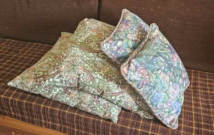 Photo of free large cushions (Taunton, near Vivary Park) #1