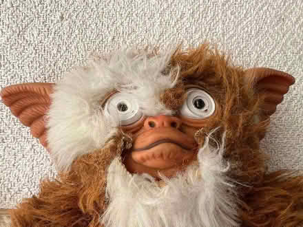 Photo of free 80’s Gremlin Plush Toy (Weybridge KT13) #2