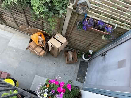 Photo of free Moving boxes to go (Philip Lane, N15) #1