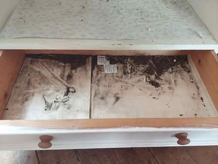 Photo of free Pine unit / TV cabinet (Pooley Bridge CA10) #4