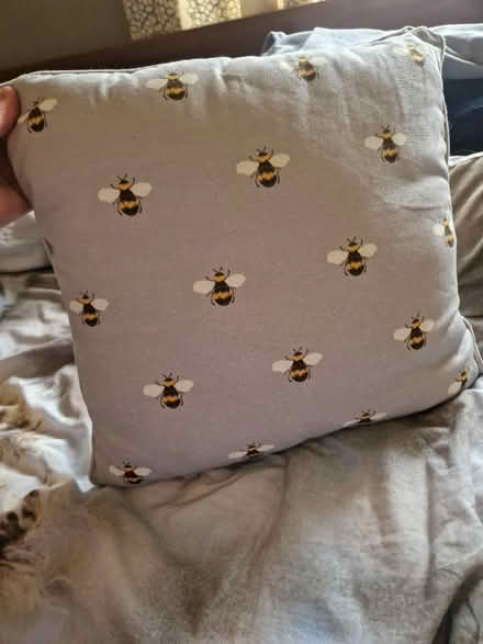 Photo of free Bee cushion 16.5 x 16.5nb (Edinburgh EH12) #1