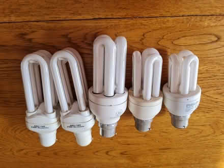 Photo of free Energy saving lightbulbs (York YO30 Clifton) #1