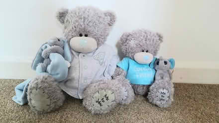 Photo of free Teddy Bears (Newton Abbot)