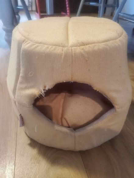 Photo of free Cat tent (Knowle BS4) #1