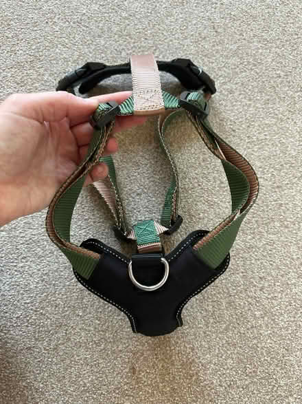 Photo of free Large dog harness NEW (Teddington TW11) #1