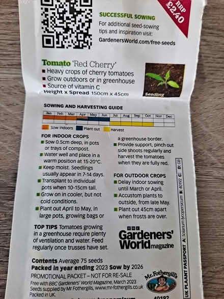 Photo of free Tomato plants (Fareham) #1