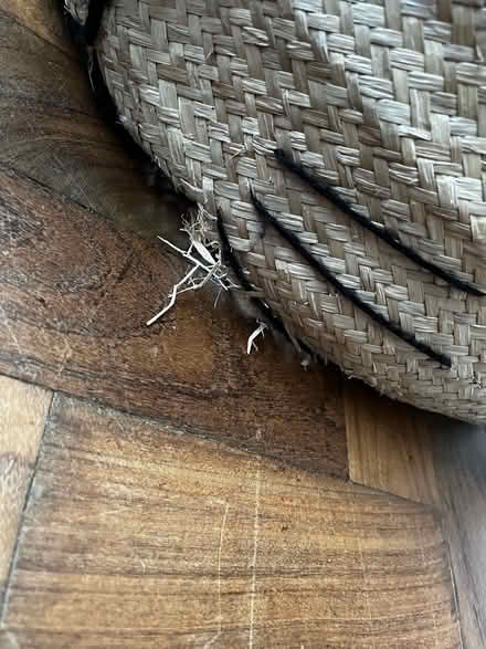 Photo of free Childrenās seagrass basket (SW15 Putney Heath) #3
