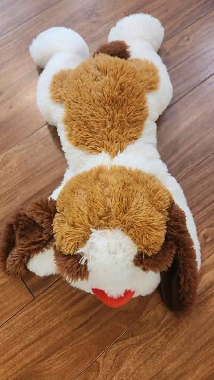 Photo of free Plush dog (King Farm) #1