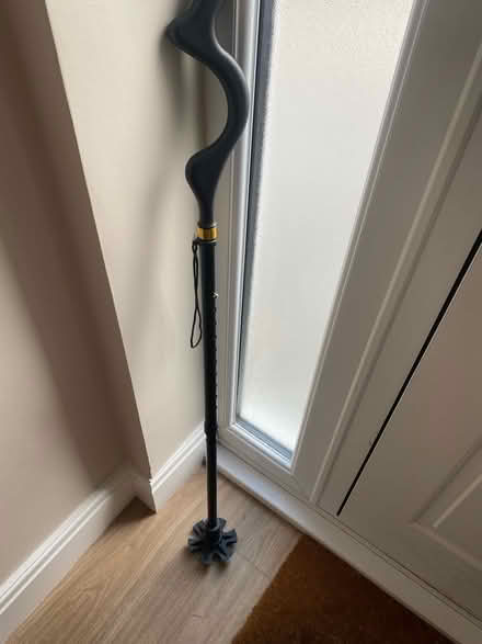 Photo of free walking / hiking stick (Welling DA16) #1