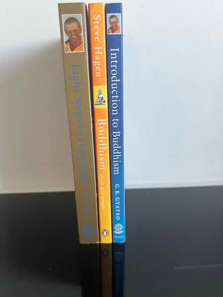 Photo of free Books on Buddhism (WN8) #1