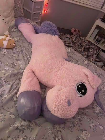 Photo of free cuddly toy unicorn (Enfield EN1) #2