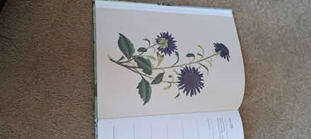 Photo of free 2020 diary (Poolbrook WR14) #2