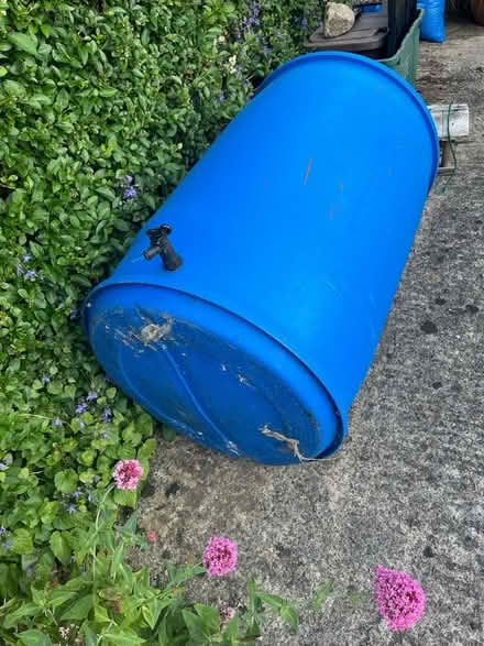 Photo of free Waterbutt (Horfield) #1