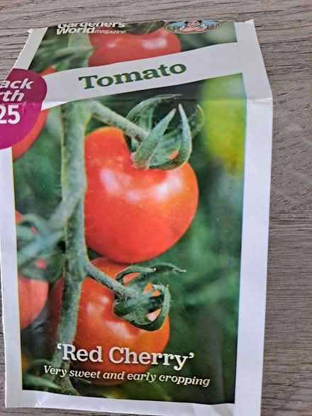 Photo of free Tomato plants (Fareham) #2