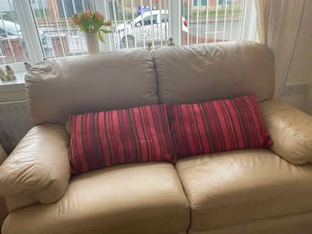 Photo of free Two 2 seater settees plus cushions (SR3. Farringdon.) #2