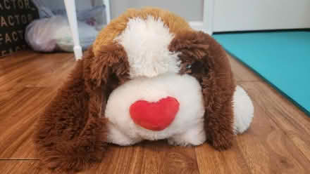 Photo of free Plush dog (King Farm) #2