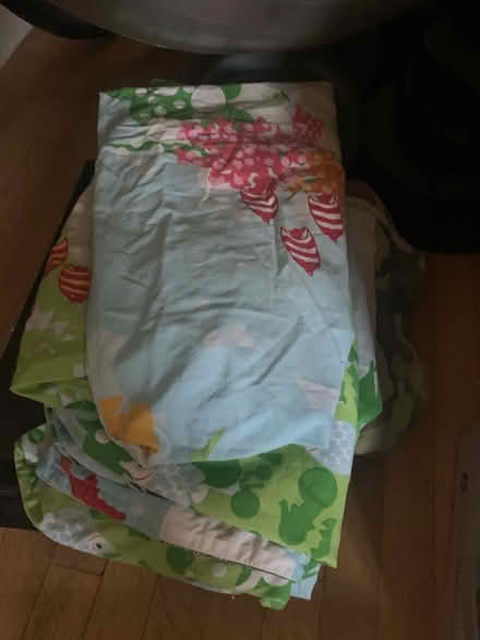 Photo of free Girls single duvet and pillow case (TW9 nr Chiswick bridge) #1