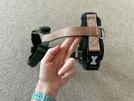 Photo of free Large dog harness NEW (Teddington TW11) #4