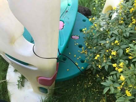 Photo of free Toddler Slide & Rocking Horse (Corringham SS17) #4