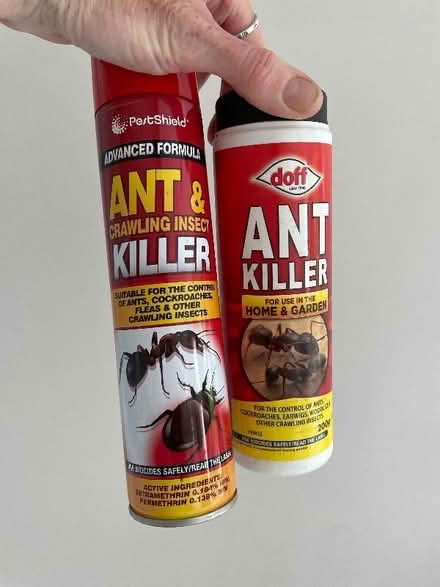 Photo of free Ant and bug killer (Hayes BR4) #1