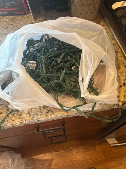 Photo of free Christmas light strings (Midtown) #4